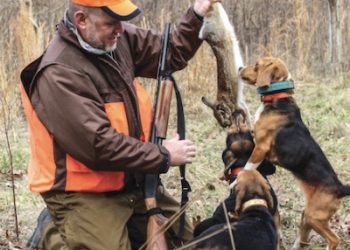 Disease threatens wild rabbit population