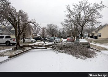 Kentucky Power Ice Storm Response: Thursday, February 11, 10 a.m.