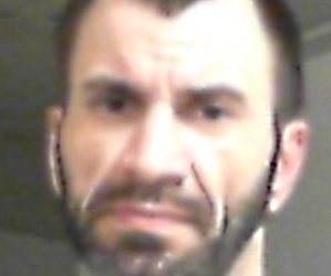 Wayne Co. Sheriff’s deputies arrest suspected car thief from Crum