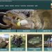 New Ky. Fish and Wildlife website offers access to more information
