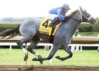 ‘ESSENTIAL QUALITY’ IS FAVORITE IN 20 HORSE FIELD FOR THE DERBY SATURDAY