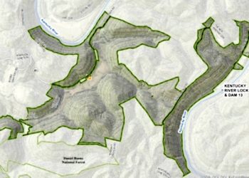 New Wildlife Management Area opens for hunting, fishing