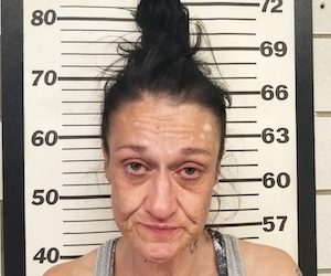 WAYNE SHERIFF’S DEPUTIES ARREST OHIO WOMAN IN STOLEN CADILLAC
