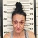 WAYNE SHERIFF’S DEPUTIES ARREST OHIO WOMAN IN STOLEN CADILLAC