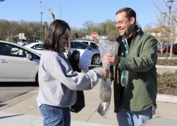 KENTUCKY POWER TO DISTRIBUTE FREE LOW-GROWTH SAPLINGS 