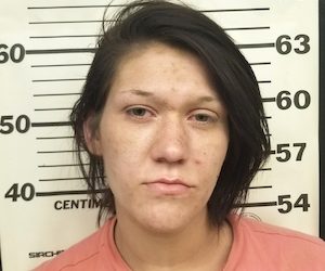 Wayne County Sheriff Drug Enforcement Unit seized Heroin during investigation