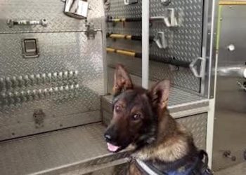 LOUISA POLICE DEPARTMENT K-9 DOG OFFICER UNIT RECEIVES PROTECTION EQUIPMENT FROM CHARITY ORGANIZATION