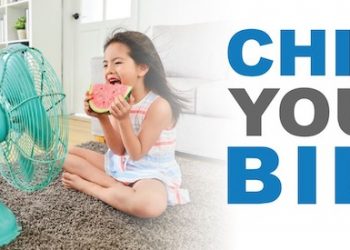 KENTUCKY POWER OFFERS ENERGY EFFICIENCY TIPS AS TEMPERATURES SOAR; POWER OUTAGE INFORMATION