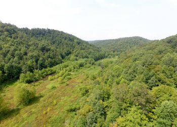 Absolute Land Auction Saturday, September 25th at 10:00AM