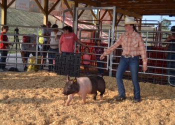 DAY 1 — 2021 LAWRENCE COUNTY, KY. FAIR OPENS WITH WELCOMES AND LIVESTOCK