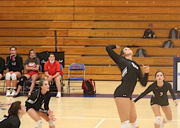 VolleyDawgs finish 2-2 in Boyd Co. Invitational, Tolsia goes 1-1 in Tri-Match on Tuesday