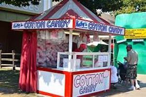 GROWING UP IN LOUISA: Carnival Rides, Theme Parks and Fairs