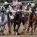 10 Biggest American Horse Races Today