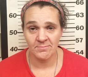 LOUISA WOMAN AMONG THREE WAYNE COUNTY DRUG BUSTS