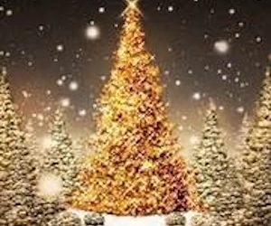 GROWING UP IN LOUISA: Christmas Trees 