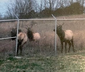 INBOUNDS FOR LANDING…BIG SANDY REGIONAL AIRPORT:  Good neighbors