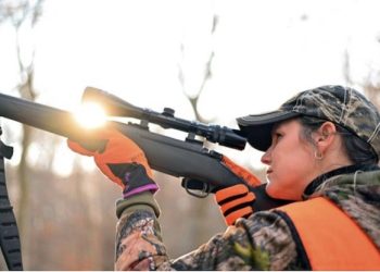 Bill passes to let WV drivers carry certain loaded guns