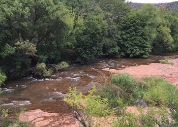 GROWING UP IN LOUISA: The quiet times