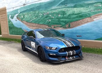 MUSTANGS LOOSE IN LOUISA TODAY!