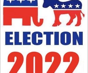 NEW ELECTION LAWS TAKE EFFECT BUT PICKINS’ ARE SLIM; SAMPLE BALLOT RELEASED