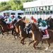 KENTUCKY DERBY LINEUP AND ODDS RELEASED AFTER DRAW