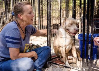 WHO WILL LET THE DOGS OUT (“WALDO”) 2022 rescue shelter tour includes Louisa, Ky.