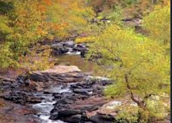 SKED/The Kentucky Wildlands Announce Designation of Tourism Growth Fund