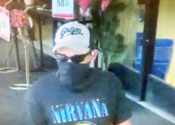 PIKEVILLE POLICE SEARCHING FOR DAYLIGHT JEWEL THIEF