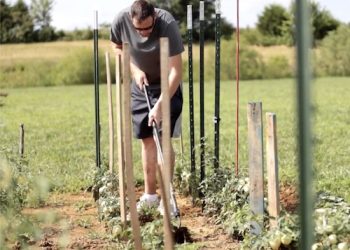ARC’s Crown Recovery Center and Lackey residential center have been busy spending their summer tending to themselves and new gardens
