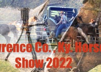 FIFTH ANNUAL  LAWRENCE COUNTY KY FAIR HORSE SHOW  JULY 29, 2022, FRIDAY @ 7PM!   $3000 IN CHAMPIONSHIP CLASSES