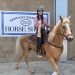 Lawrence County Girl Wins at State Horse Show