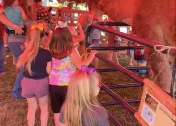 LC LIBRARY HOSTS PETTING ZOO FOR KIDS