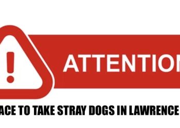 ANIMAL SHELTER IS FULL, NO PLACE TO TAKE STRAYS AT PRESENT TIME!