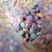 FENTANYL THAT LOOKS LIKE CANDY IS IN WEST VIRGINIA, AUTHORITIES WARN