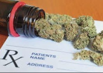 Gov. Beshear’s Advisory Committee Reports: Kentuckians Want Medical Cannabis Legalized