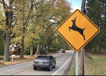 Annual ‘Antler Alert’ Provides Reminder of Fall Driving Hazard