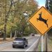 Annual ‘Antler Alert’ Provides Reminder of Fall Driving Hazard