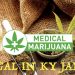 BESHEAR ISSUES EXECUTIVE ORDER ALLOWING MEDICAL MARIJUANA IN KENTUCKY