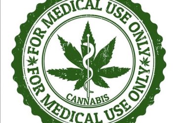 BESHEAR ISSUED MEDICAL MARIJUANA ORDER ALLOWING IT AS ‘WEDGE ISSUE’ AND TOOL FOR RE-ELECTION, GOP SENATOR SAYS