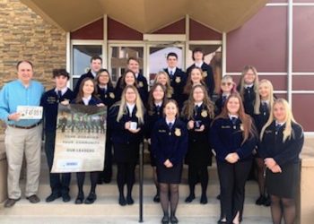 Autoflower seeds are taking over U.S. cannabis market due to their ease of use