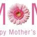 HAPPY DAY TO ALL OUR MOTHERS IN THE LEVISA AREA!