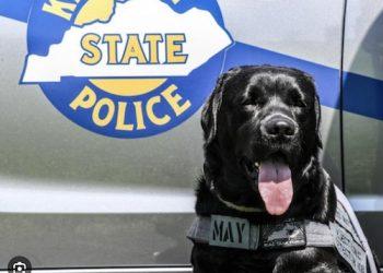 Kentucky Counterdrug Program Helps Save 28.9 Million People from Fentanyl Overdose