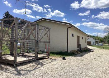 JUDGE CARTER OPENS HIS OWN ANIMAL SHELTER…Will Be Third Shelter In/near Lawrence County