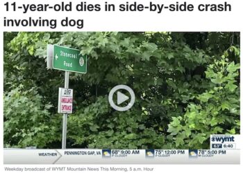 11-YEAR-OLD DIES IN SIDE-BY-SIDE CRASH INVOLVING DOG IN WAYNE CO. NEAR CRUM, W.VA.