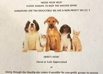 LAWRENCE COUNTY, KY. HUMANE SOCIETY NEEDS DONATIONS