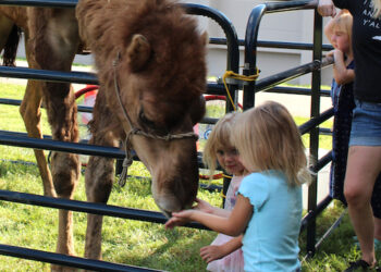 ACTC hosting Party on the Lawn event for the community