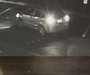 Louisa Police Seeking Information On Theft From Vehicle At Food City