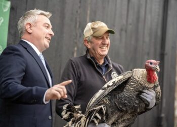 COMMISSIONER QUARLES PARDONS ‘TOM’ TO LIFE ON BREEDING FARM