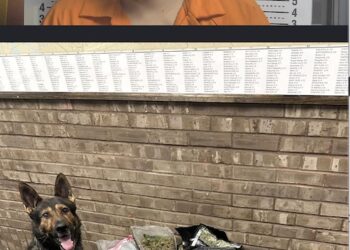 BOYLE COUNTY KENTUCKY SHERIFF SCORES MAJOR WIN AFTER DRUG RAID