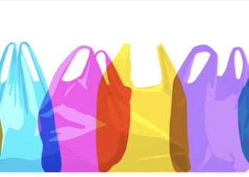 Plastic Bag Bans Have Eliminated Enough Single-Use Bags to Circle Earth 42 Times